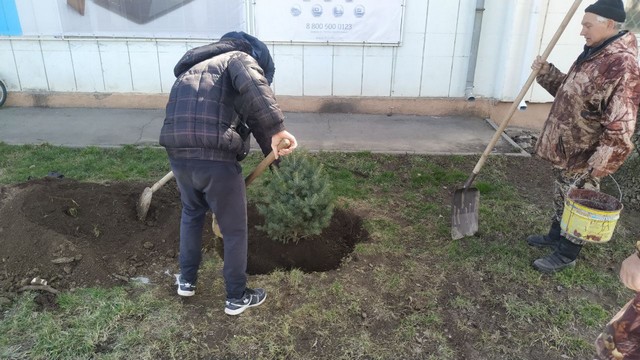50 sagencov 0104 2022 5