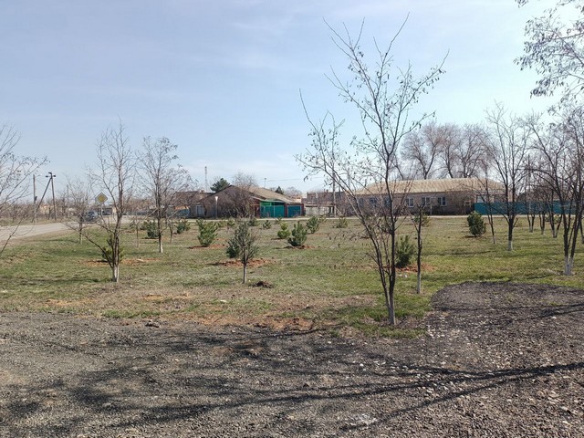 50 sagencov 0104 2022 6