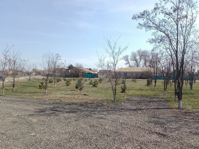 photo 2022 03 31 10 58 19