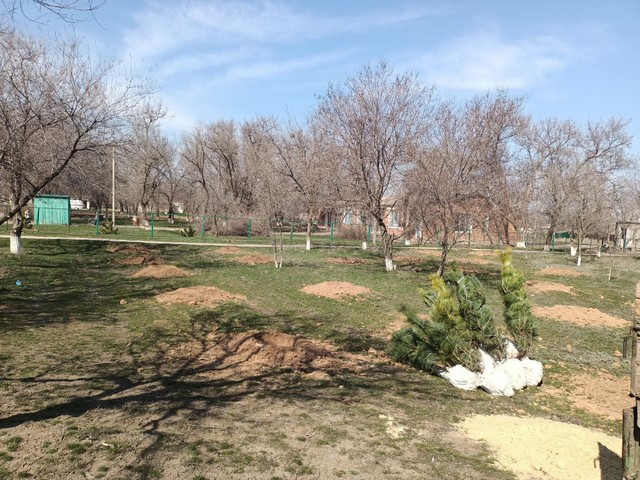 photo 2022 03 31 10 58 20